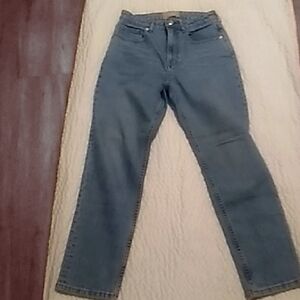 Everlane The Curvy Cheeky Jeans